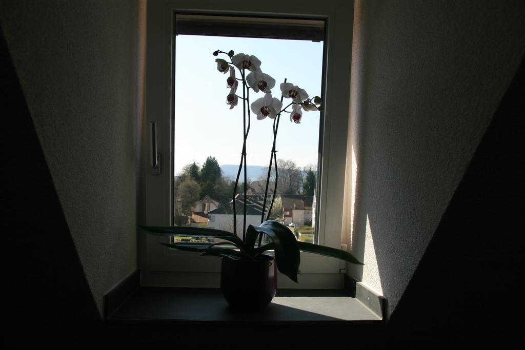 Hotel Eremitage Arlesheim Exteriör bild